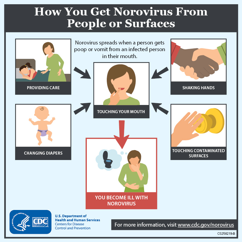 How you get norovirus from people and surfaces