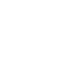 Arkansas State Government