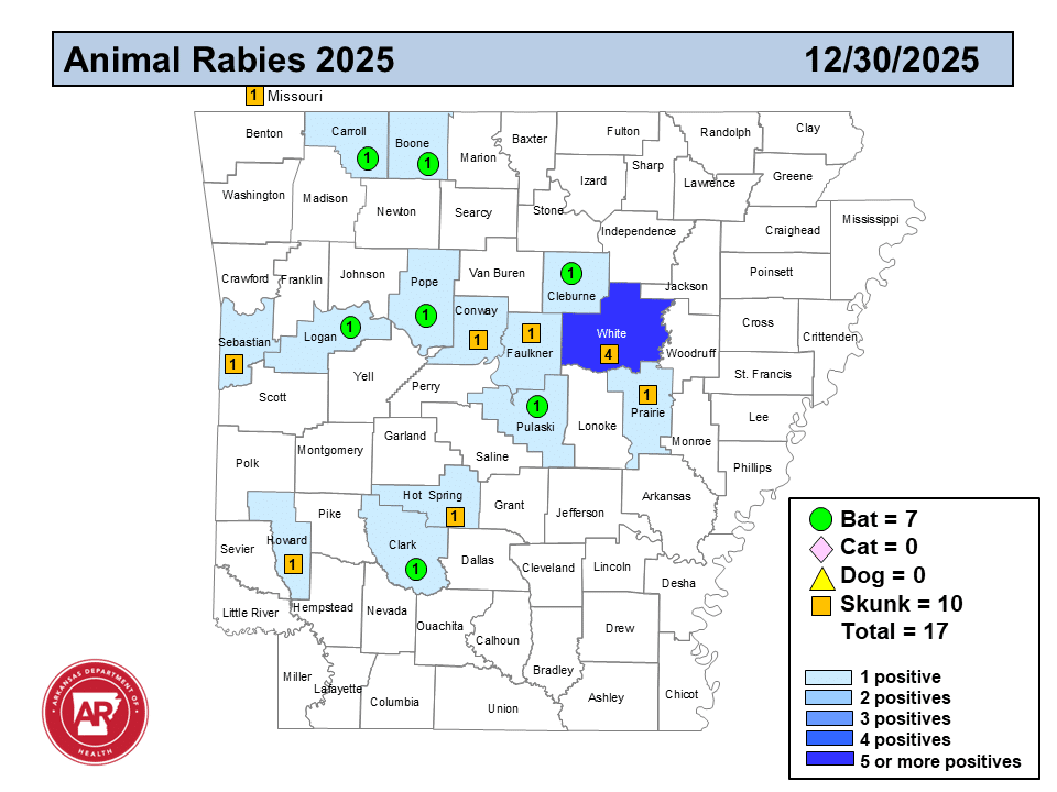 Rabies Activity